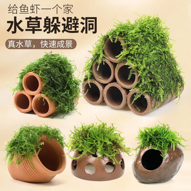 Aquarium Moss Ceramic Pot, Aquatic Plant Landscape Real Plant Fish and Shrimp Hiding Cave, Shrimp House Small Ornament, Small Fish Breeding Shelter