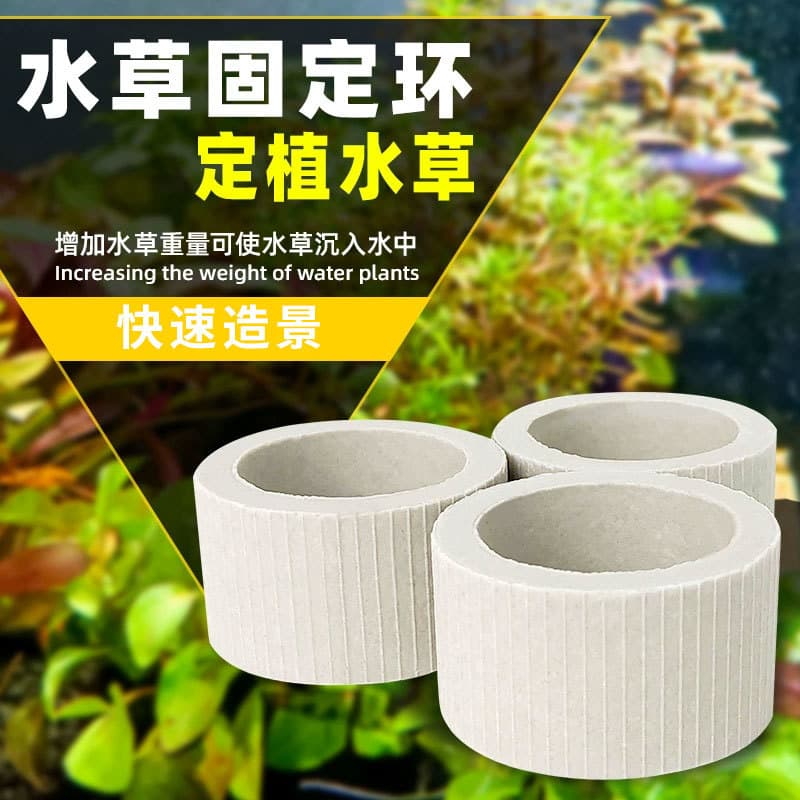 Aquatic Plant Fixing Ring Ceramic Ring Base Lazy Plant Fixing No Soil Needed Plant Holder
