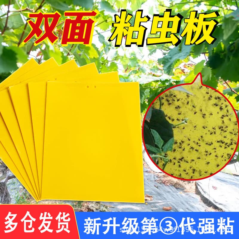 Yellow sticky traps, double-sided fly traps, perfect for killing fruit flies in greenhouses and orchards.