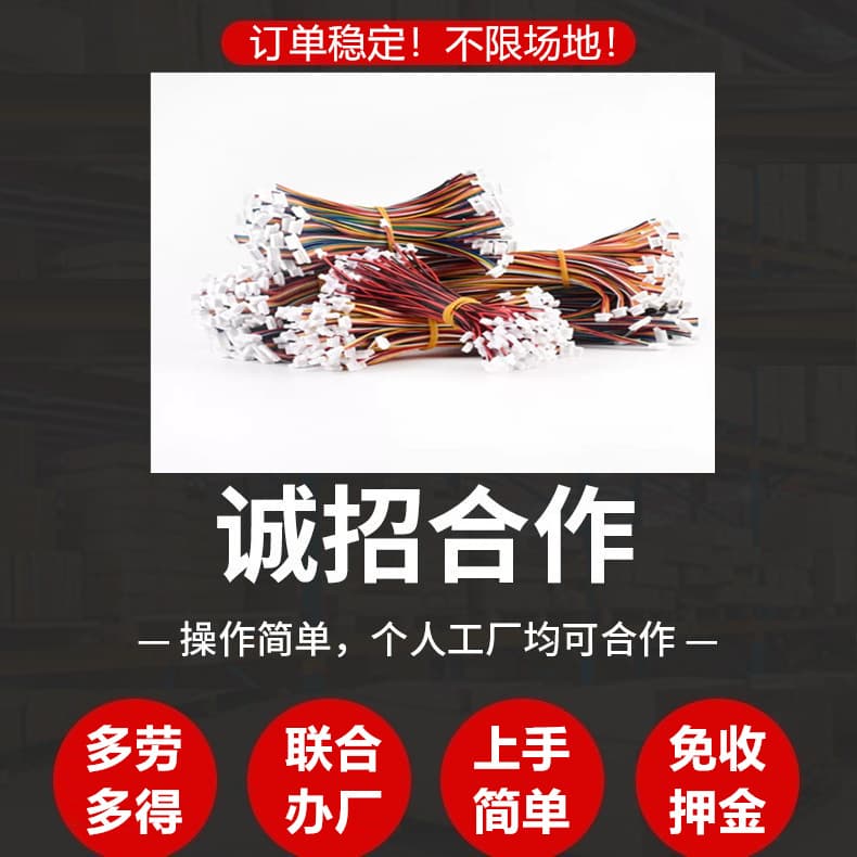 Outsourced home-based simple manual product semi-processing and assembly, electronic distribution, manual component tasks.