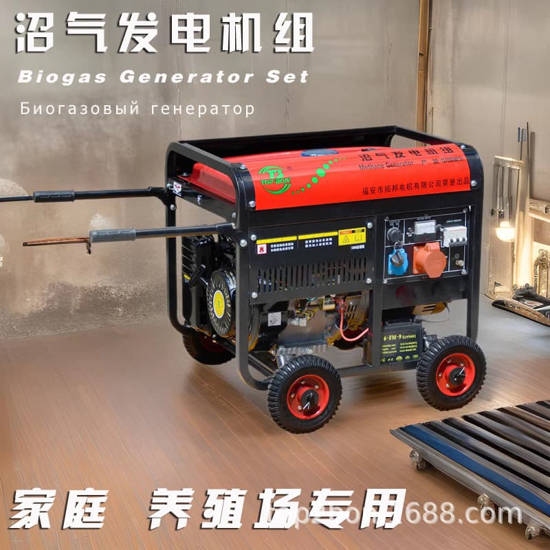 Biogas Generator Household 10kw Small Gas 220V Single-Phase 380 Three-Phase Farm Kitchen Waste Sewage Treatment