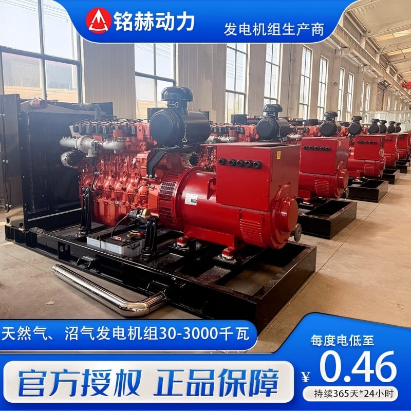 Kazakhstan Bitcoin Mining Gas Generator Set 1000KW Gas Generator Set 5 Megawatt