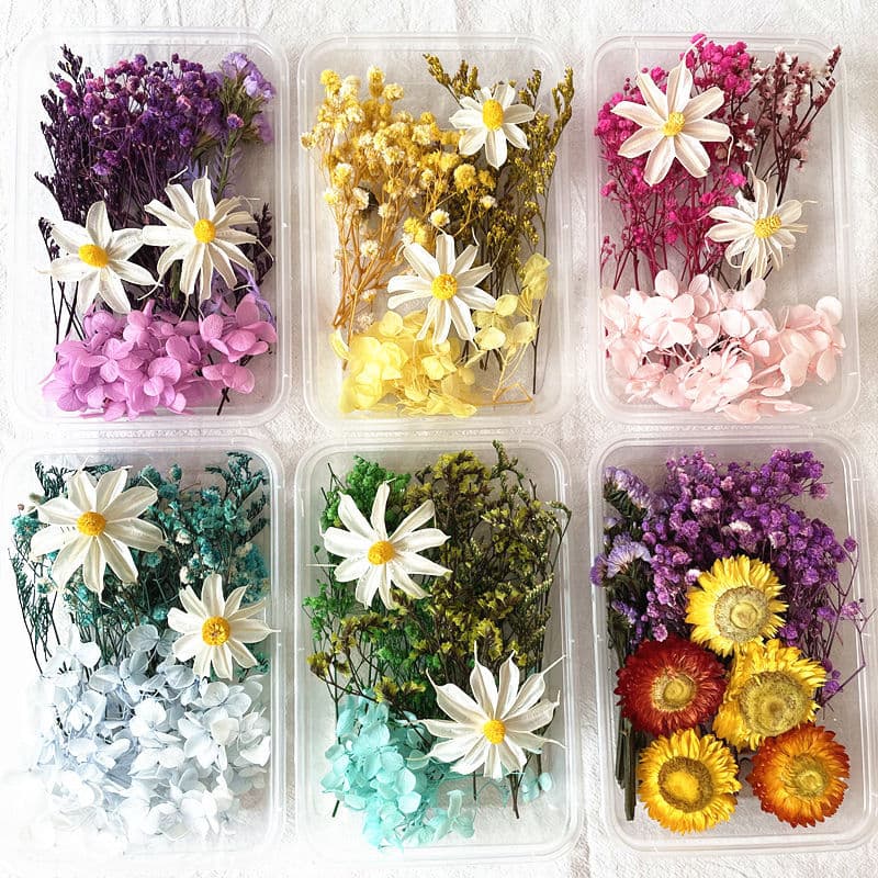 Preserved flower and dried flower material kit for team building activities, floral art classes, craft activities, and decorative flower materials kit