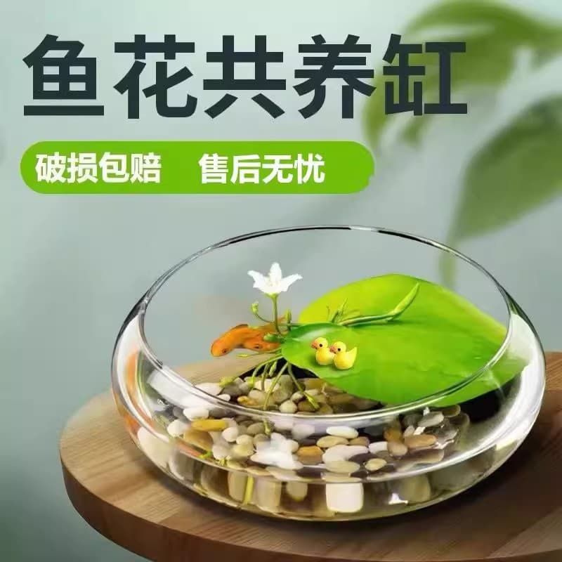 Glass Vase Bowl for Lotus, Pennywort, Narcissus Pot, Hydroponic Flower, Green Plant, Living Room Desktop Balcony Decoration