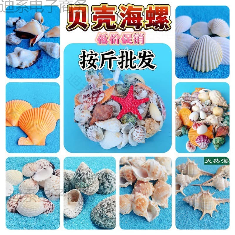 Small Aquarium Fish Tank 0.5kg Shell Accessories Aquarium Micro Landscape Home Drift Bottle Snail Bottle Star Shell