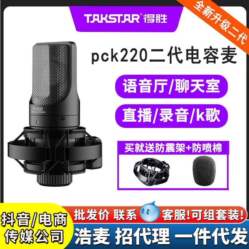 Takstar PCK220 Second-Generation Condenser Microphone for Online Classes, Voice Chat Rooms, Live Streaming, Singing, and Recording