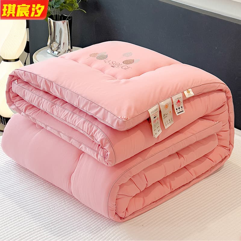 New Double Spring/Autumn Quilt Core, Thickened Winter Quilt, Soft Skin-Friendly All-Season 3D Quilt