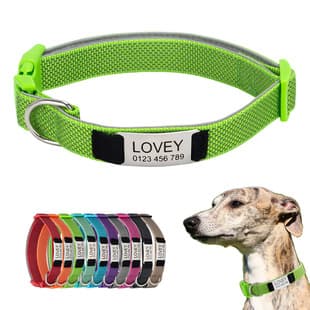 Cross-Border Pet Engravable Collar Starlight Reflective Multi-Color Nylon Soft Lining Colorful Buckle Dog Pet Collar