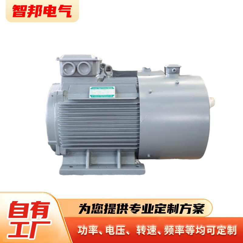 300 RPM Low-Speed Permanent Magnet Synchronous Generator 10kw 20kw 30kw 50kw 100kw Wind and Hydro Generator