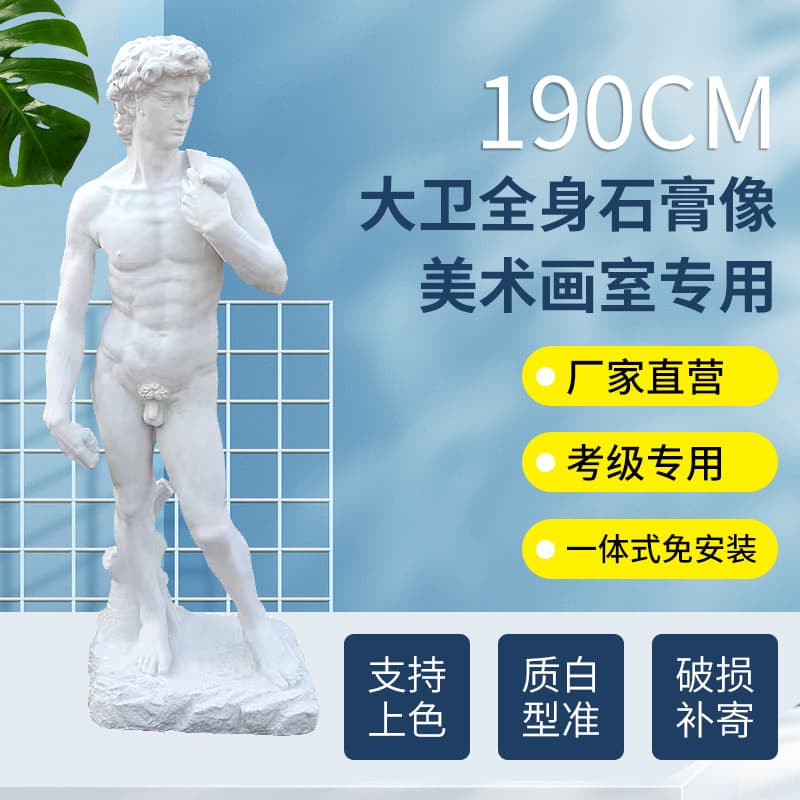 1.9-meter full-body David statue, plaster head, art supplies, sketching, model, sculpture, ornament, life drawing