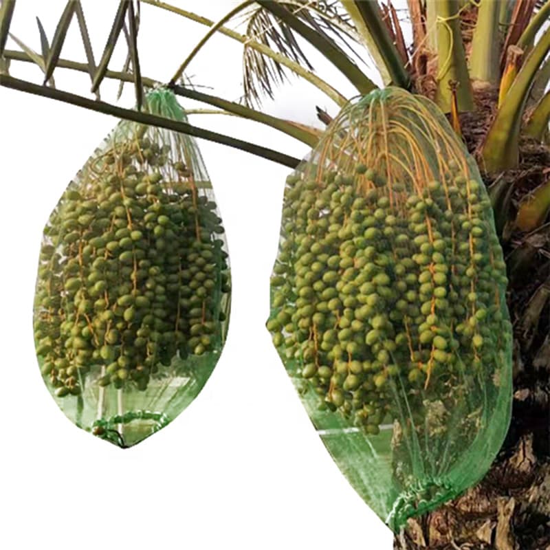 Green Date Mesh Drawstring Bag, Small Mesh Bag for Dates, Hot-Selling in the Middle East