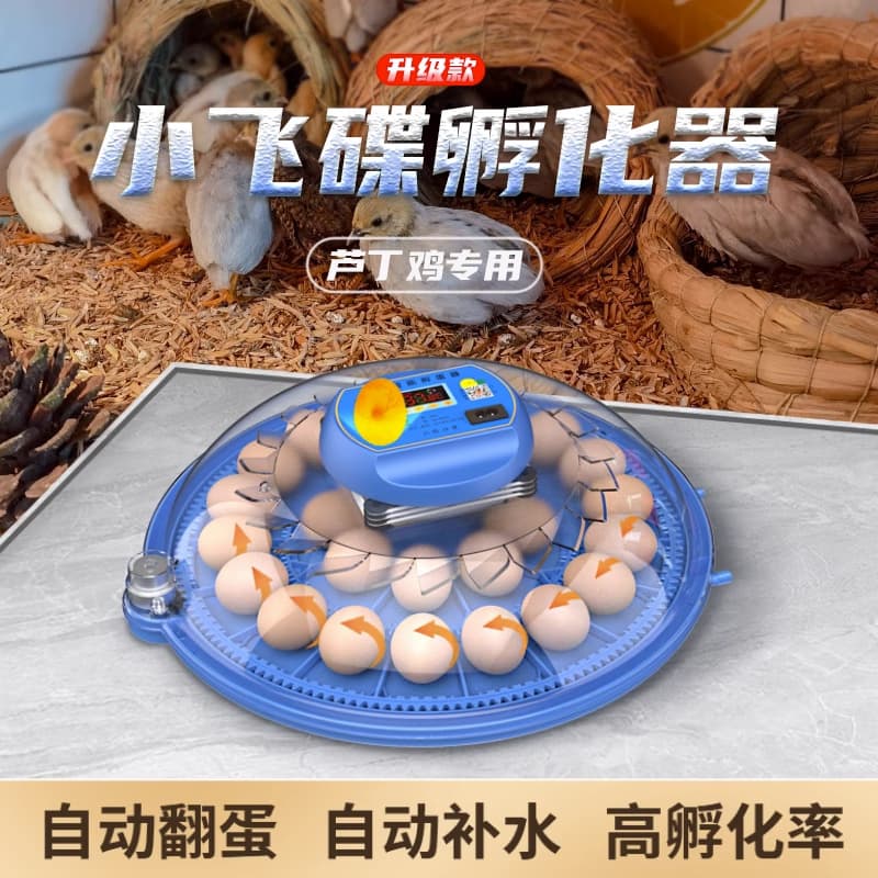 Fully Automatic Quail Egg Incubator, Small Incubation Machine, Home Hatcher for Chicken Eggs