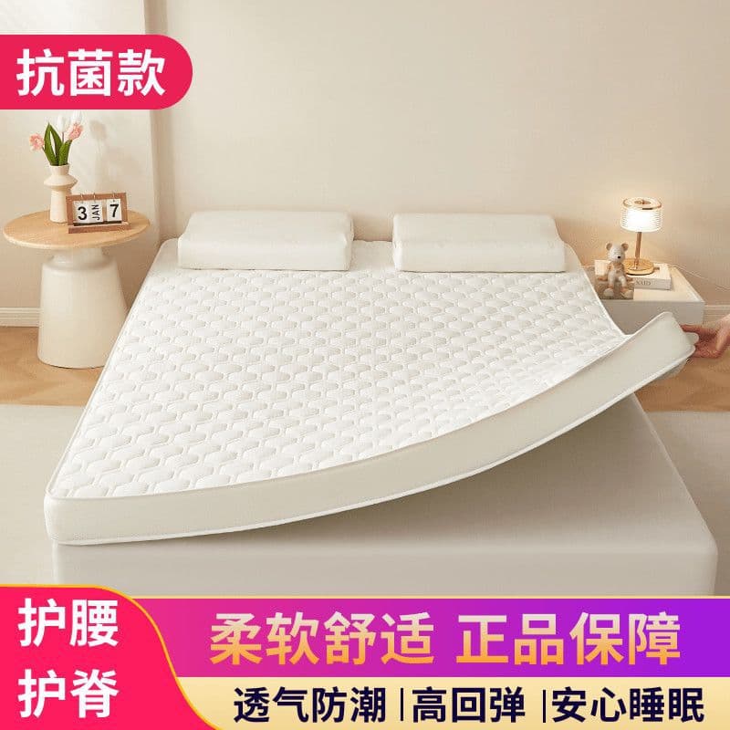 All-Season Memory Foam Mattress, Home Soft Pad, Student Dorm Thickened Tatami, Single Underlay Factory Direct