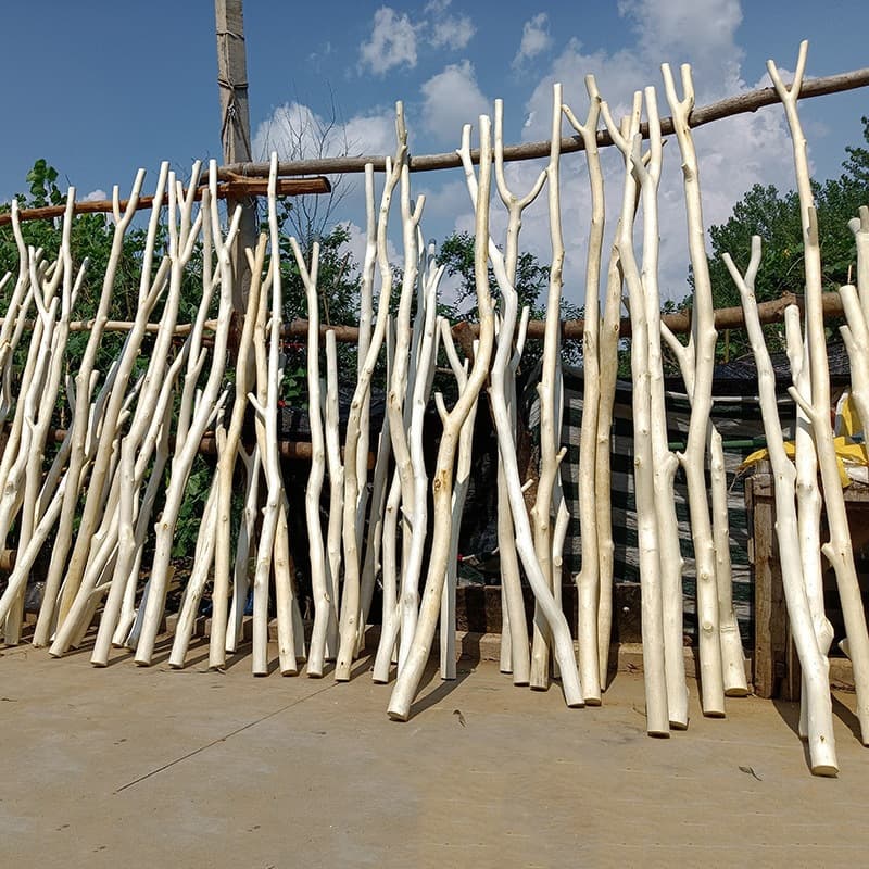 Dry branches decorated with peeled logs, natural modeling art, clothes hangers, wooden sticks with bifurcated dried flowers, clothes hangers tree