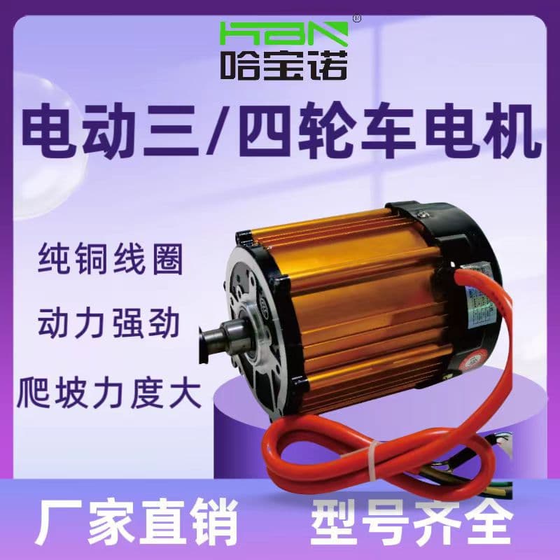 High-Power 1500W High-Speed Motor for Electric Three/Four-Wheelers, Permanent Magnet Vector DC Brushless Motor from Manufacturer