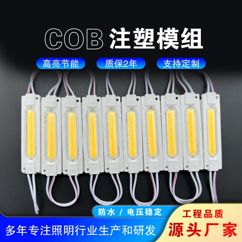 Engineering Advertising Luminous Sign Lighting LED Module Injection Molding 2835 COB Module Lens Lighting