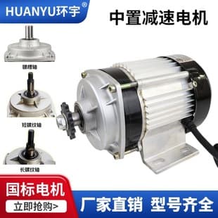 48V 60V Mid-Mount Low Speed Motor High Power Tricycle Electric Vehicle Motor DC Brushless Geared Motor
