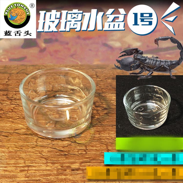 Acrylic Glass Cup Scorpion Gecko Lizard Pet Snake Landscape Design Water Feeder Dish Bug Proof Reusable Eco-Friendly Pet Supplies