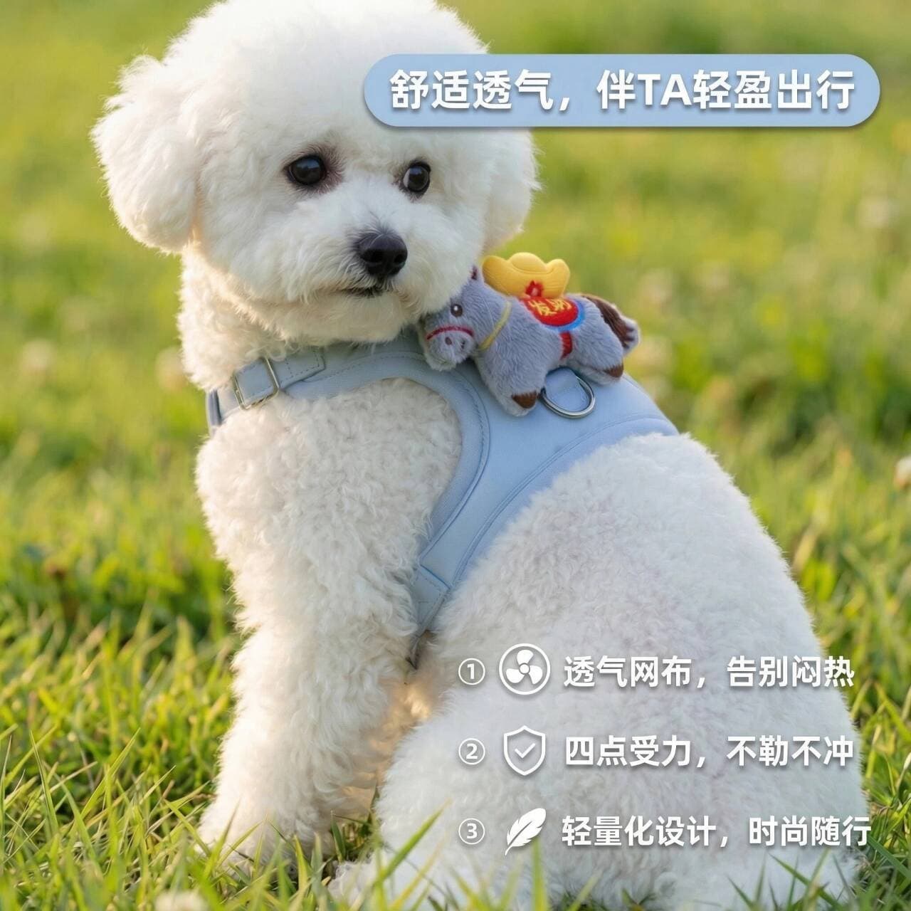 Dog Leash for Walking Pets, Bichon Dog Leash, Small Dog Vest-Style Teddy Dog Harness, Back-Type Dog Chain