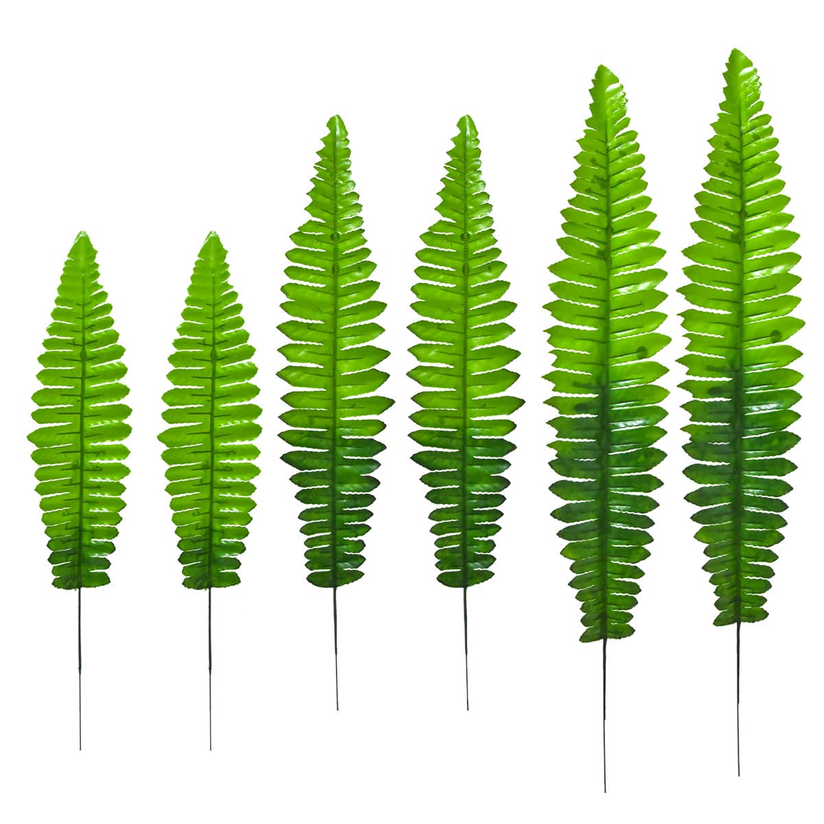 Simulated single-piece Persian fern leaf, silk fabric, artificial tree leaves, soft furnishing projects, plant walls, garden landscapes, shopping mall greening decorations