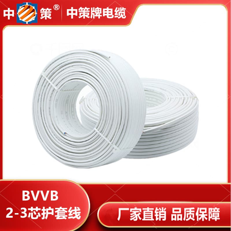 Genuine Hangzhou Zhongce Copper Core Home Decoration Sheathed BVV/B 2/3*1/1.5/2.5/4/6 Household Appliance Power Cord