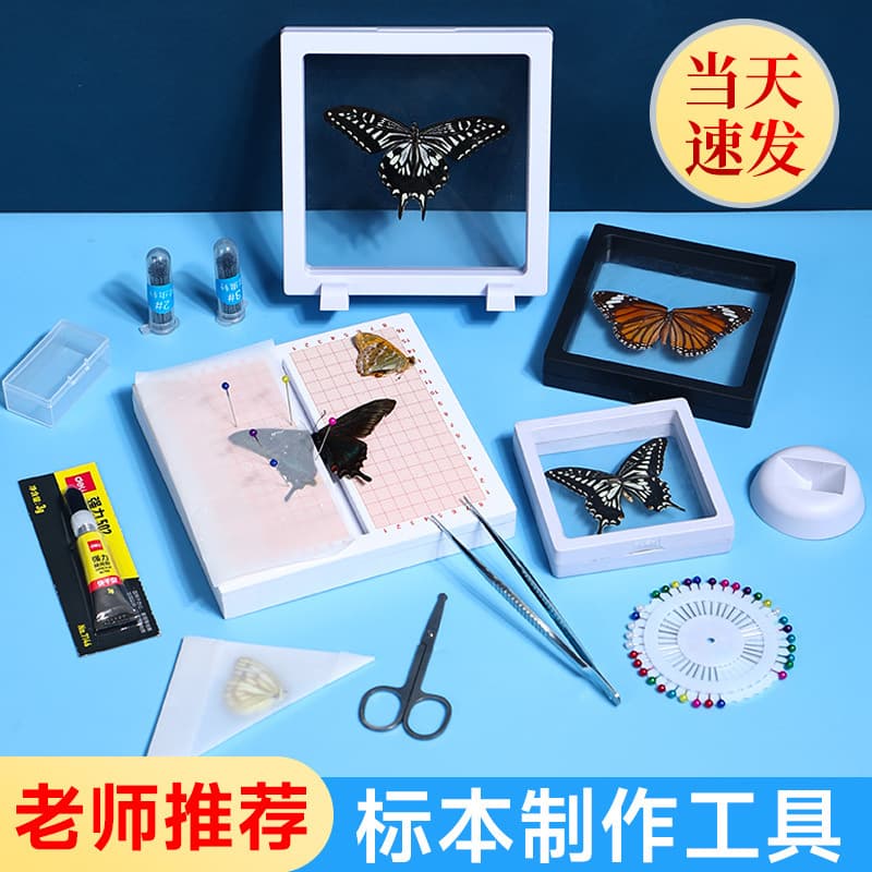 Butterfly Specimen Spreading Board Making Tool Set Insect Pins Handmade DIY Material Kit Science Experiment Activity