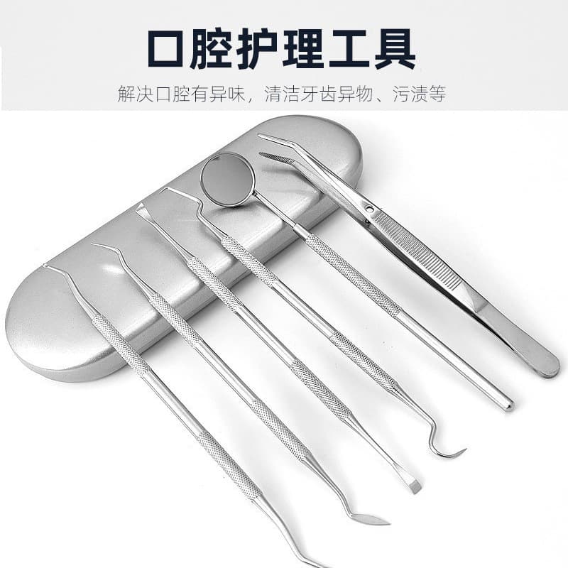 Stainless Steel Dental Tool Kit Dental Care Cleaning Set Tartar Calculus Remover Oral Cleaning Tools