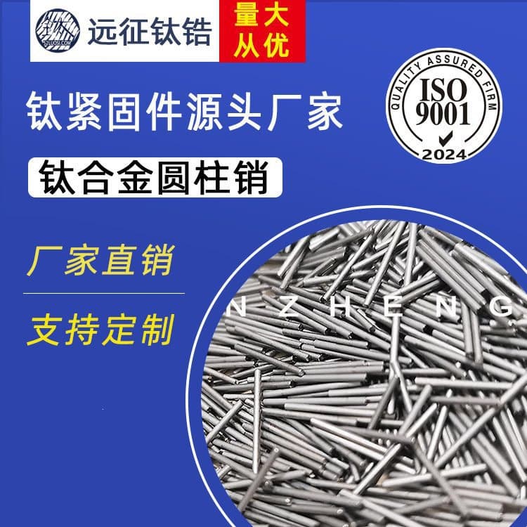 Titanium Alloy TC4 Titanium Pin Cylindrical Pin Positioning Pin Solid Pin Fixing Pin Corrosion Resistant Laboratory Titanium Pin