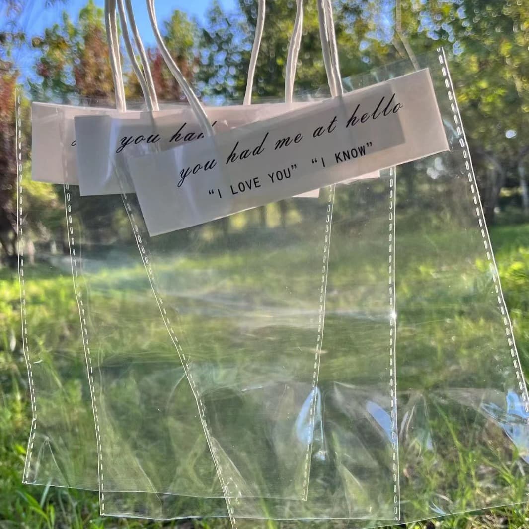Transparent handbag gift bag plaster doll bag snack bag stationery jewelry bag funny gift bag companion gift bag