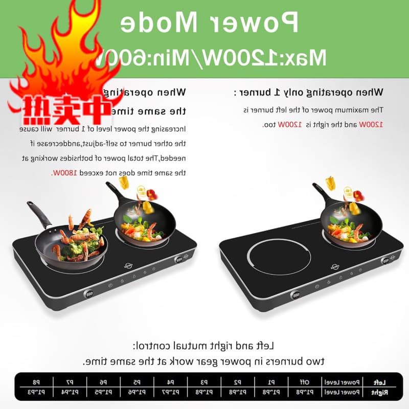 Factory Struics - Double Induction Electric Cooktop