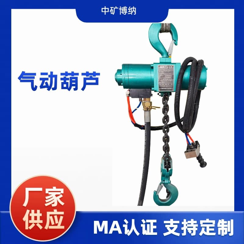 Explosion-proof design pneumatic hoist, mining HQ series lifting equipment, easy to operate; 1-ton fixed pneumatic hoist.