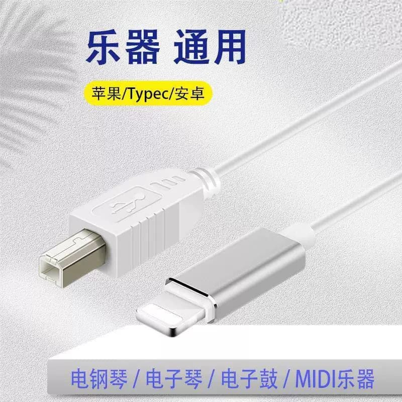Suitable for internal recording of mobile phones, tablets, iPads, iPhone, Apple Typec electric piano MIDI instrument cables
