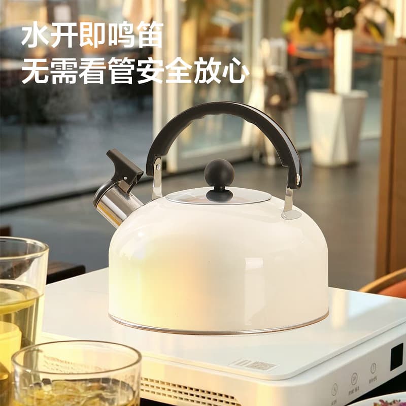 New Cross-border Stainless Steel Whistling Kettle 3L Flat Bottom Whistle Tea Coffee Pot for Gas and Induction Cooktop
