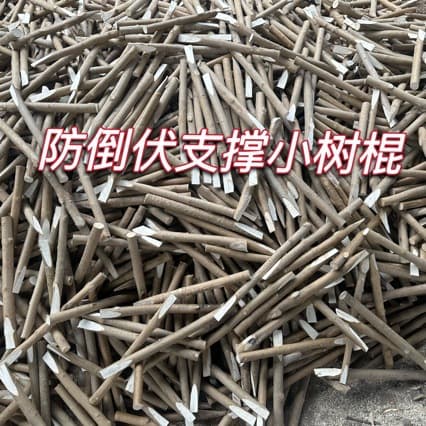 Scallion Anti-Lodging Support Sticks, Small Tree Sticks with Bark, White Ash Thin Rods, DIY Decorative Craft Short Rods