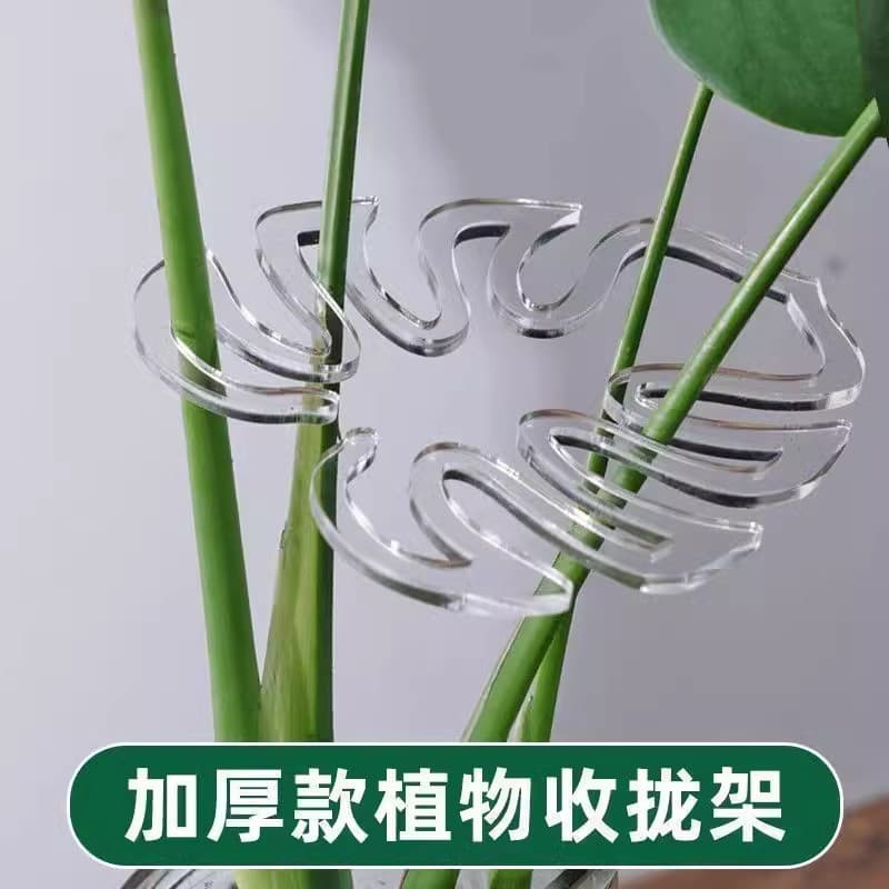 Monstera Support Pole Plant Support Frame Branch Gathering Stand Anti-Lodging Bracket Green Plant Fixing Plastic Rope