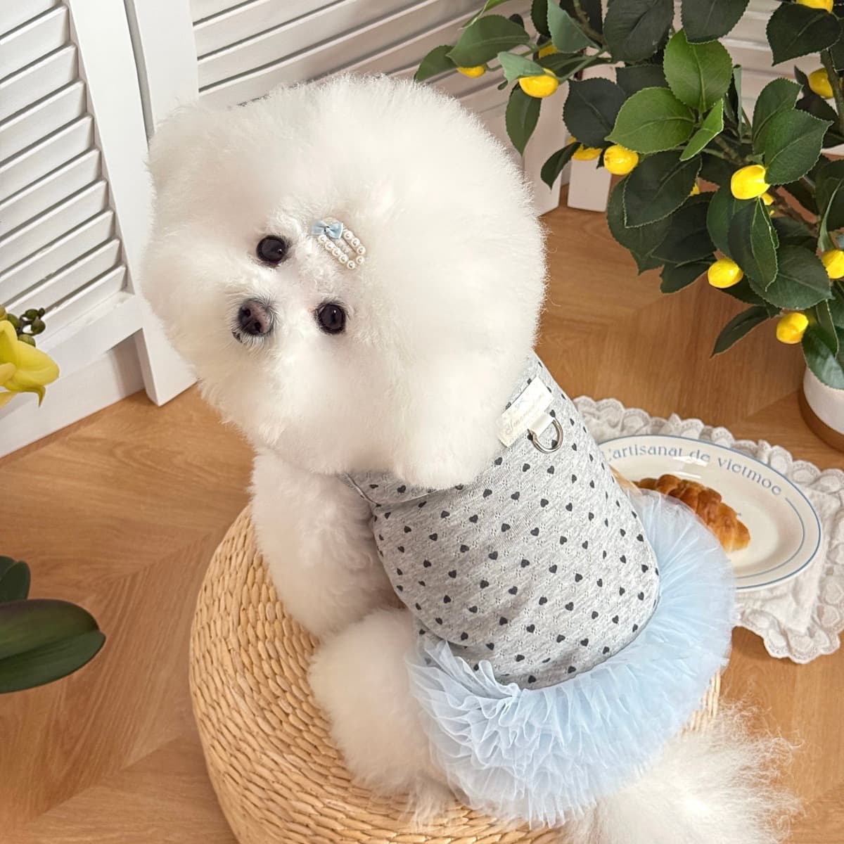 Hi Kitty Blue Tulle Skirt Cat Dog Summer Thin Breathable Cute Clothing Teddy Bichon Small Dog Apparel
