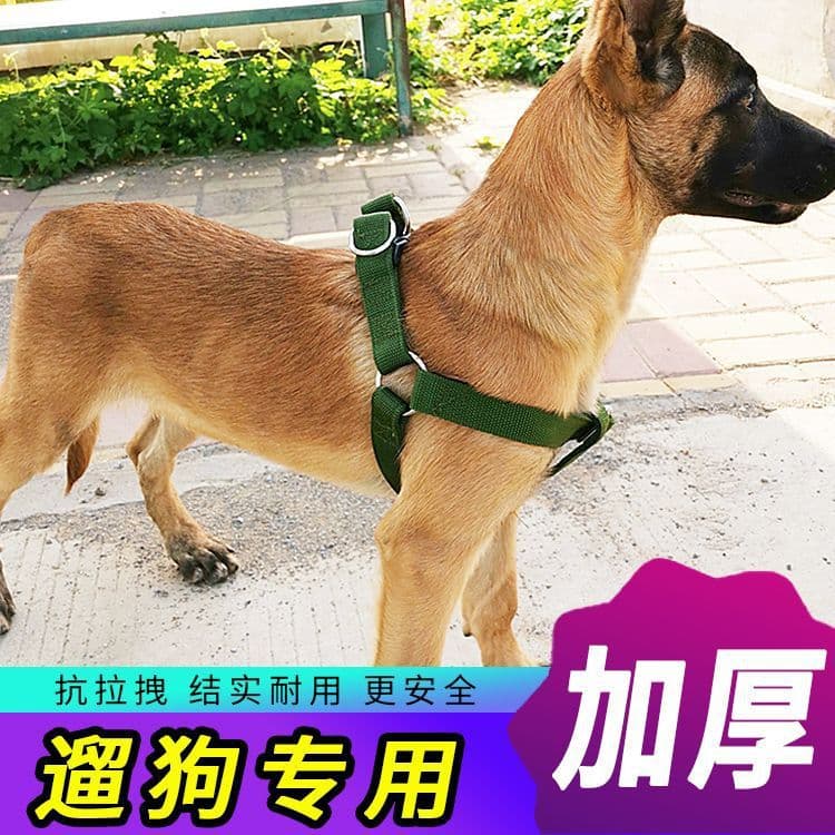 Dog Leash Labrador Dog Rope Golden Retriever Dog Chain Harness Earth Dog Medium and Large Dog Horse Dog Supplies