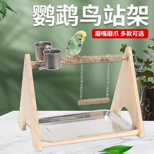 Parrot Perch Stand for Budgie, Cockatiel, Lovebird - Solid Wood with Zanthoxylum Branches, Foot Chain Ladder, Climbing Interactive Platform
