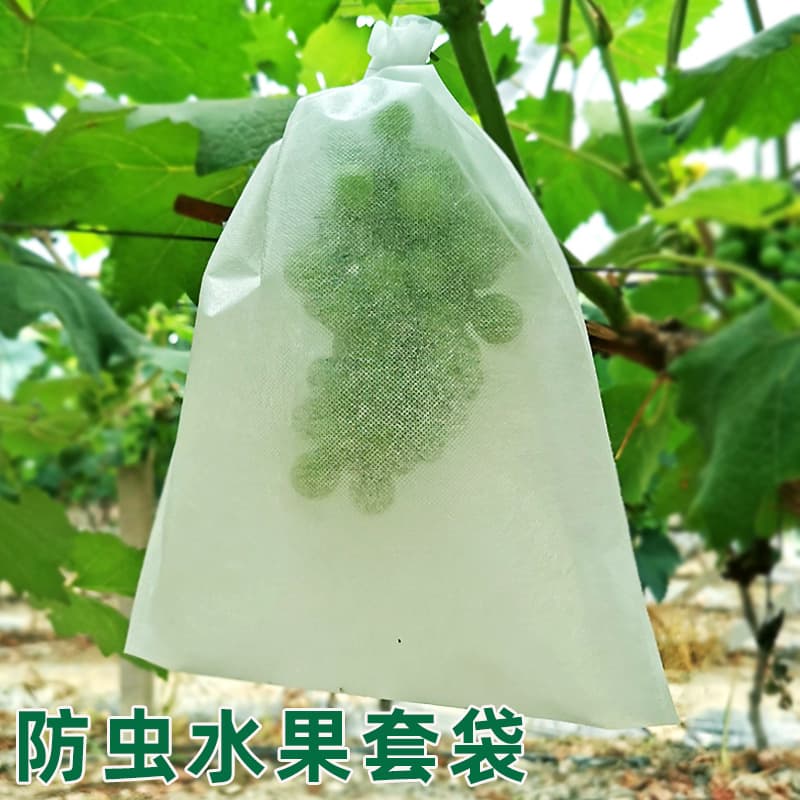 Ready stock loquat, mango, grape-specific bagging, custard apple, apple fruit protection non-woven bags, yellow peach orchard insect prevention.