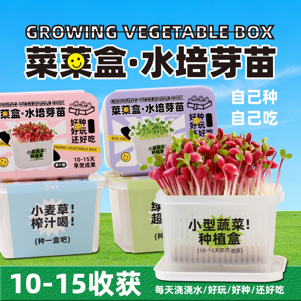 Children's Hydroponic Plant Growing Kit, Sprouting Vegetable Growth Box, Soilless Cultivation, Student Children's Day Gift