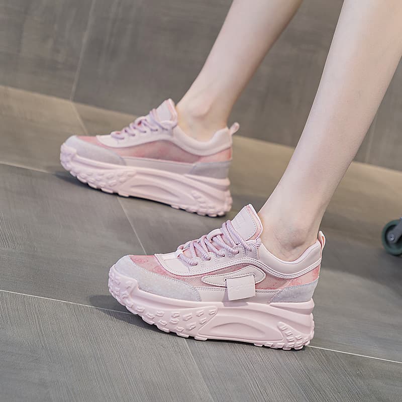 Women's Dad Shoes with Special Mesh Upper, 2026 Spring New Casual Sneakers, French-Style Round-Toe Thick-Soled Height-Increasing Casual Sports Shoes