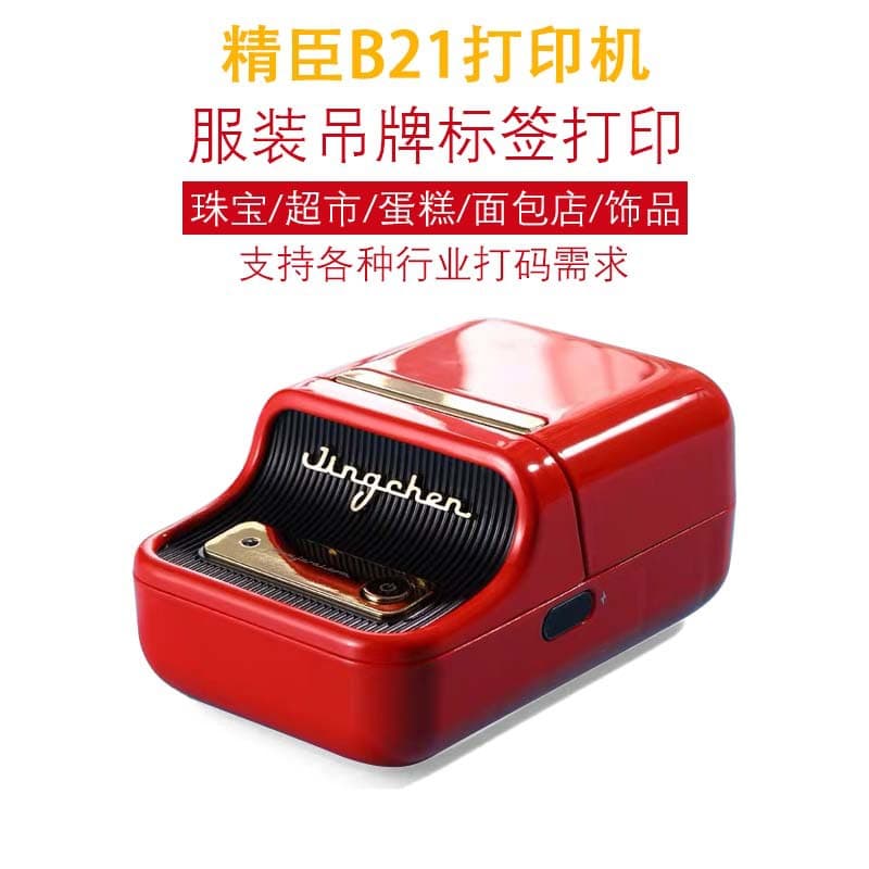 NIIMBOT B21 Label Printer for Clothing Hang Tags, Jewelry, Supermarket, Bakery, Cake Shop, Accessories Coding Machine