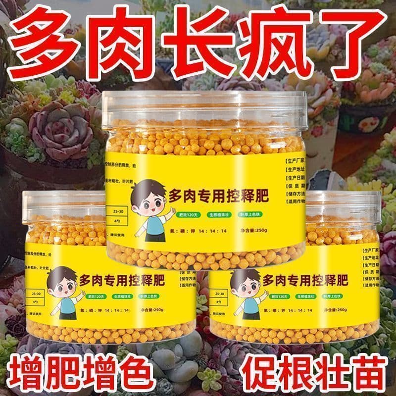 Succulent Fertilizer Specialized Controlled-Release Fertilizer for Pot Filling and Growth, Succulent Nutrient Solution Organic Home Gardening Controlled-Release Fertilizer