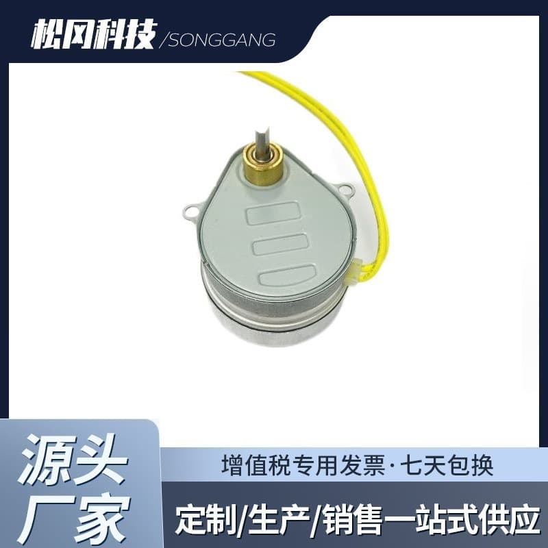 Motor Synchronous Motor 24V Speed 4.8 Dual Cut Shaft Hysteresis Motor for Two-Way Valve Three-Way Valve