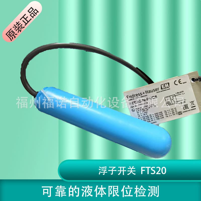 E+H Float Switch FTS20 Commonly Used for Overflow Protection in Oil Tanks and Containers, Original German Endress+Hauser