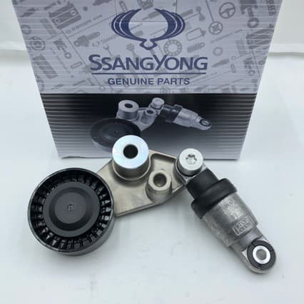 6652000370 6652000270 Shuanglong Engine Tensioner Timing
