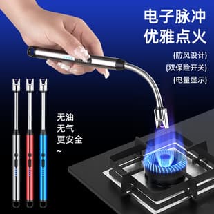 Factory Wholesale Type-C Arc Charging Lighter Igniter for Gas Stove Extended Kitchen 360-Degree Flexible Hose
