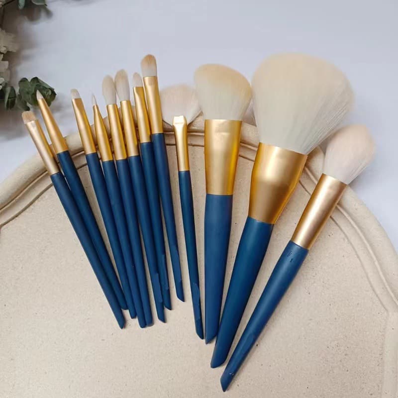 Cangzhou 12-Piece Star Motion Makeup Brush Set, Complete Eyeshadow Brush, Loose Powder Brush, Blush Brush, Makeup Tools