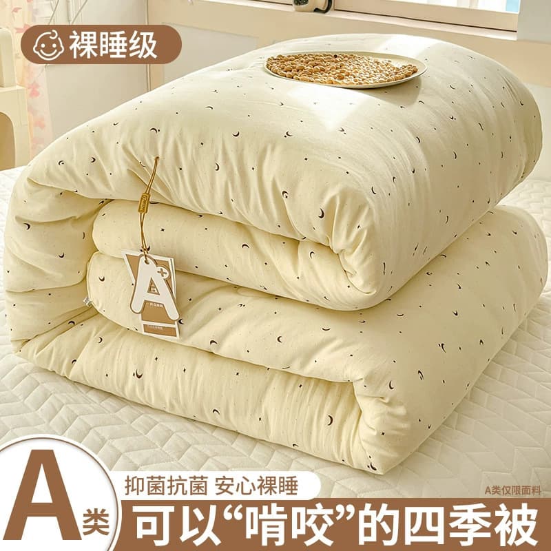 Washed Cotton Quilt, Winter Quilt, 2025 New Spring/Autumn Quilt, Thickened Warm Duvet Inner, Student Single Quilt, All-Season Universal