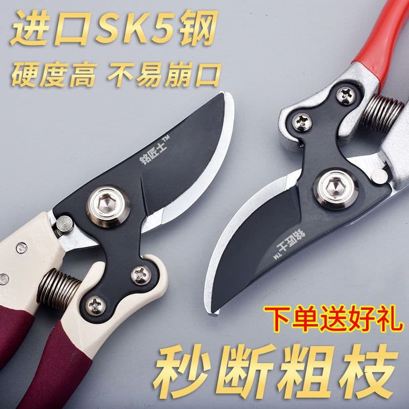 Fruit Tree Pruning Shears, Branch Cutter, Tree Pruner, Gardening Scissors, Garden Pruning Shears, Amazon